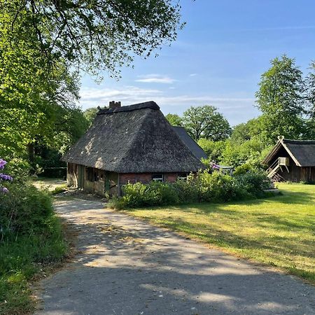 Heidehof Oberhaverbeck Villa Bispingen Eksteriør billede