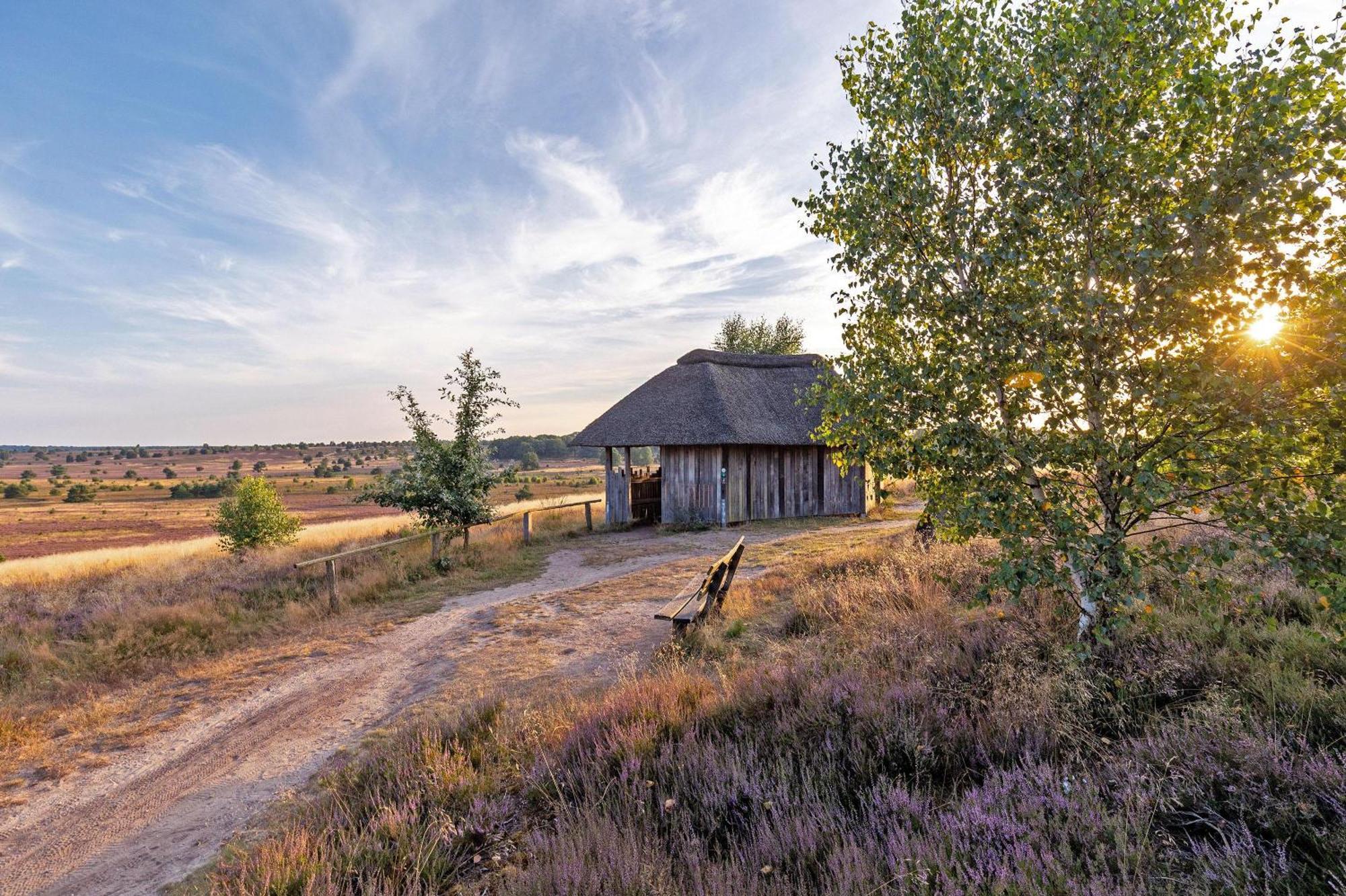 Heidehof Oberhaverbeck Villa Bispingen Eksteriør billede