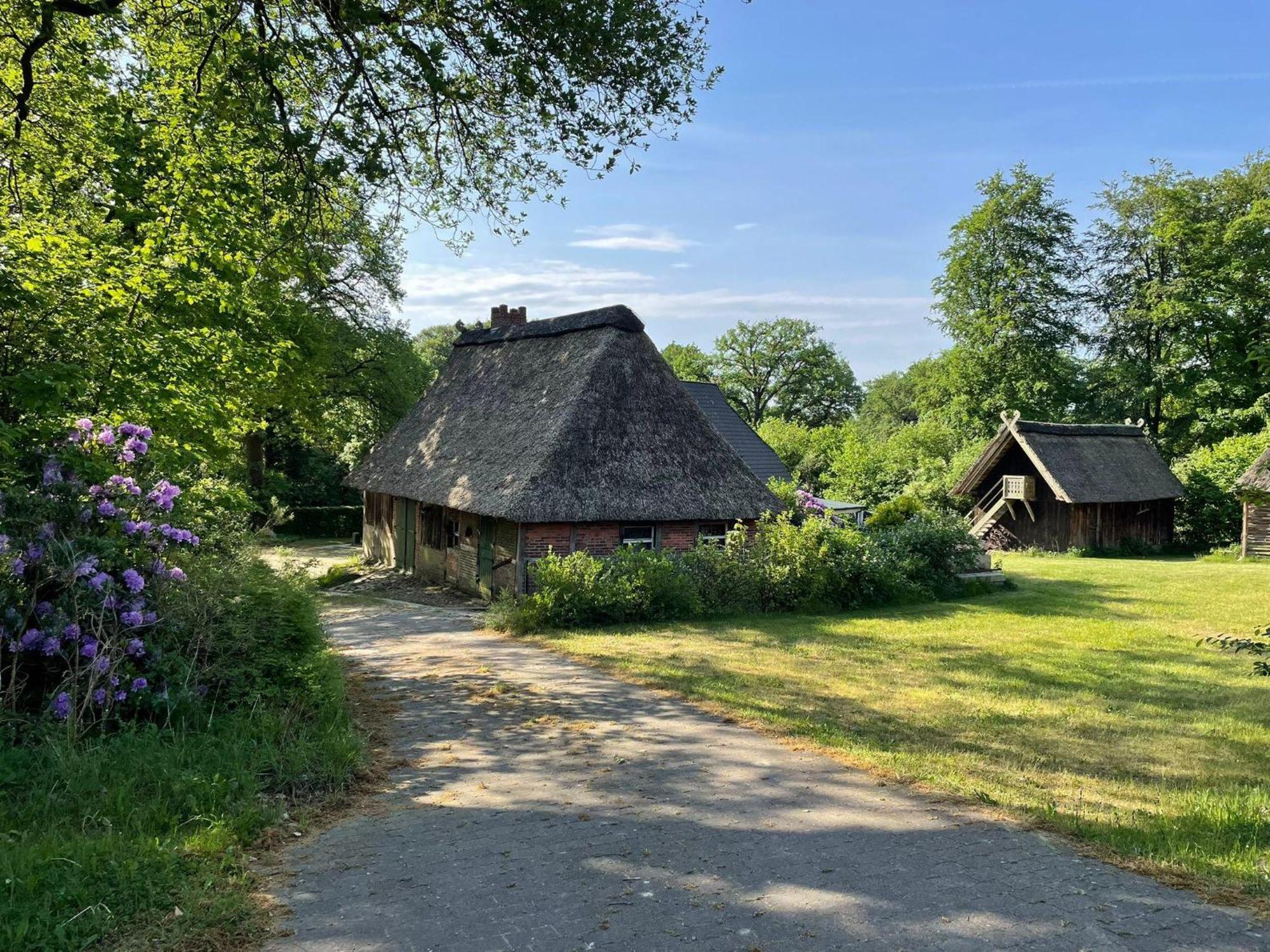 Heidehof Oberhaverbeck Villa Bispingen Eksteriør billede