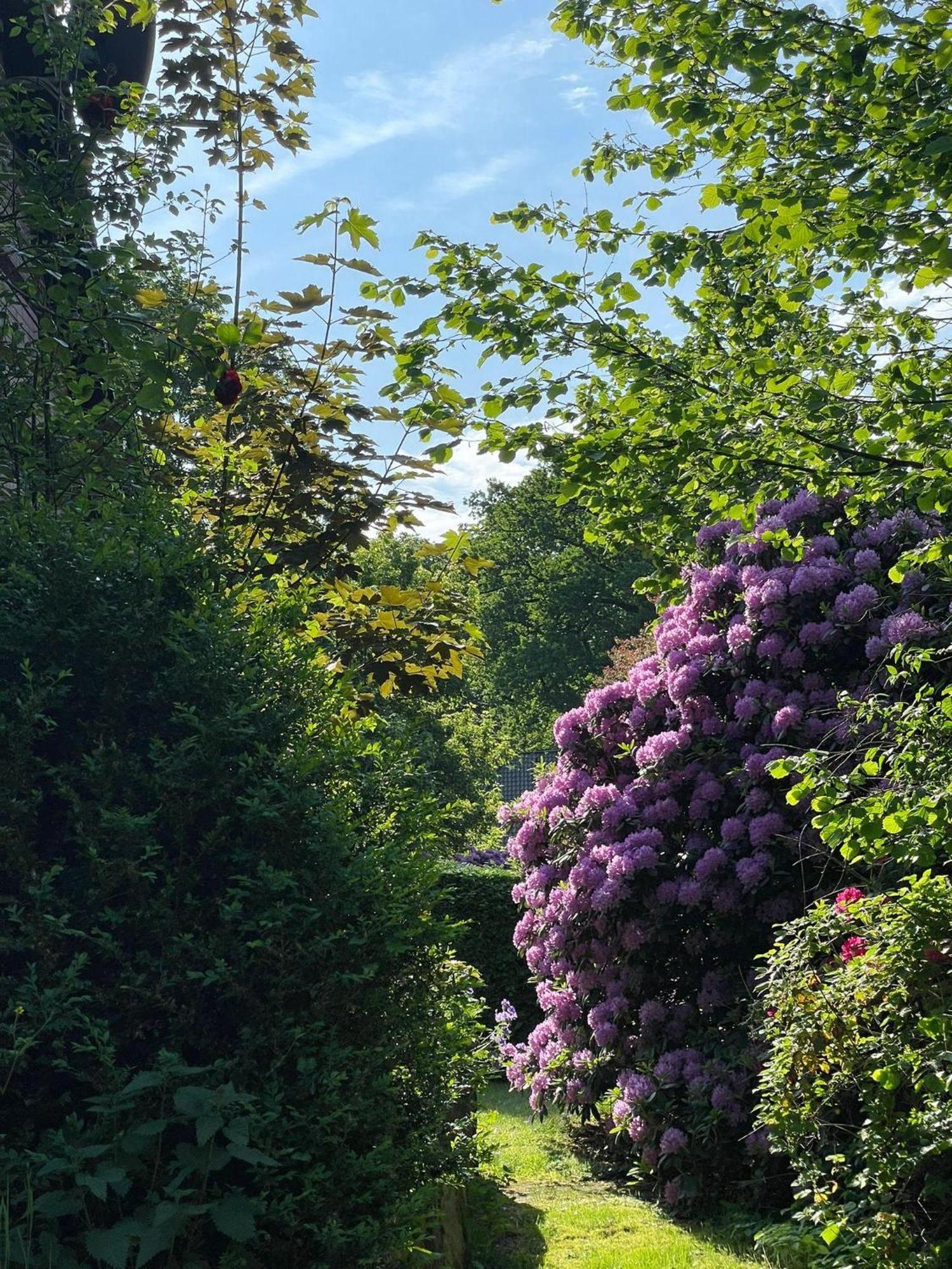 Heidehof Oberhaverbeck Villa Bispingen Eksteriør billede